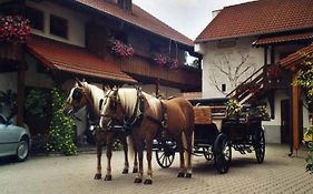 Appartementhaus 